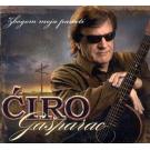 BORIS CIRO GASPARAC - Zbogom moja pameti, Album 2010 (CD) BORIS CIRO GASPARAC - Zbogom moja pameti, Album 2010 (CD)